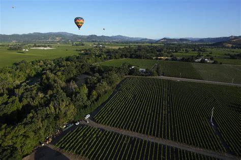 Cool weather may delay wine grape harvest in Napa Valley